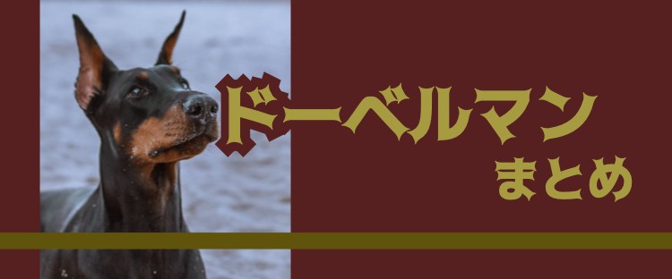ドーベルマンってカッコいい！